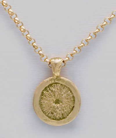 Médaille coquillage