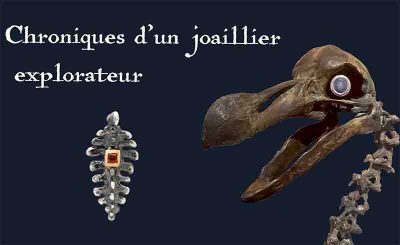 dodo3